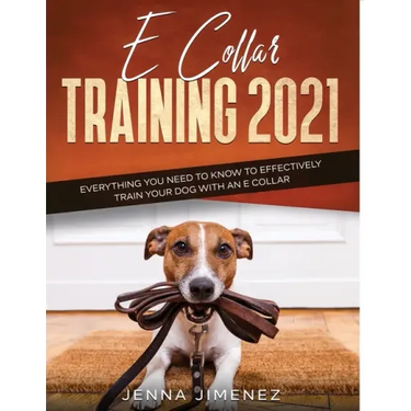E Collar Training2021: Everything You Need to Know to Effectively Train Your Dog with an E Collar
