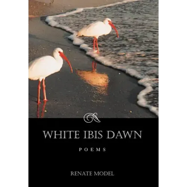 White Ibis Dawn