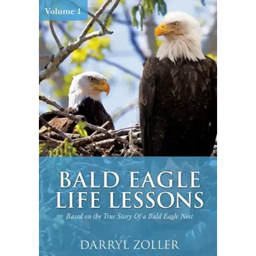 Bald Eagle Life Lessons