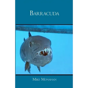 Barracuda