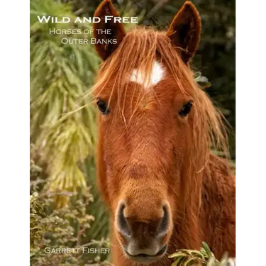 Wild and Free: Horses of the Outer Banks