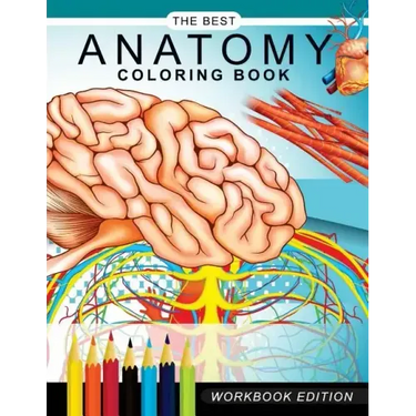 Anatomy coloring book: Muscles and Physiology Workbook Edition