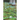 Eternal Garden