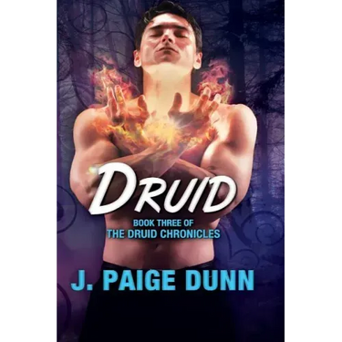 Druid: Book Three of the Druid Chronicles