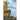 The Witness