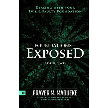 Foundations Exposed (Book 2): Dealing with your Evil & Faulty Foundation
