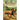 The Black Stallion's Sulky Colt