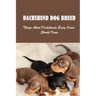Dachshund Dog Breed: Things About Dachshunds Every Owner Should Know: Can You Breed A Mini Dachshund With A Standard