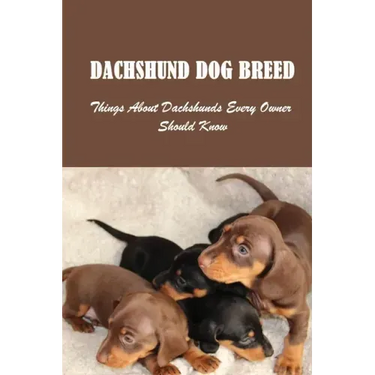 Dachshund Dog Breed: Things About Dachshunds Every Owner Should Know: Can You Breed A Mini Dachshund With A Standard
