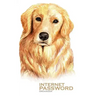 Internet Password Organizer: Golden Retriever Dog (Password Log Book)