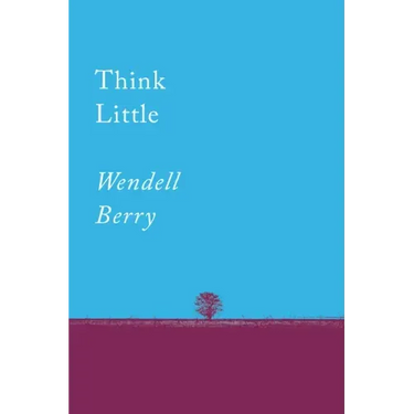 Think Little: Essays