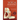 Yoga Anatomy