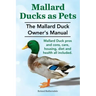 Mallard Ducks as Pets. The Mallard Duck Owner's Manual. Mallard Duck pros and cons, care, housing, diet and health all included.