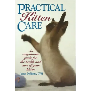 Practical Kitten Care