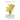 Helichrysum Essential Oil