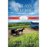 A Plain Malice