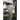 Bonhoeffer: Pastor, Martyr, Prophet, Spy