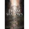 A Dream of Shadows: Book One in the Shadow Bidder Series