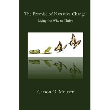 The Promise of Narrative Change