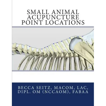 Small Animal Acupuncture Point Locations