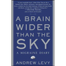 A Brain Wider Than the Sky