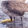 Jamaica Bay Pamphlet Library 05: Fruit on the Beach