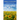 Ukraine Diary