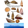 Land and Freshwater Snails of Tahiti and the other Society Islands