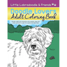 Doodle Lovers Adult Coloring Book