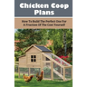 Chicken Coop Plans: How To Build The Perfect One For A Fraction Of The Cost Yourself: How To Determine Your Chicken Flock Size And Space Needs