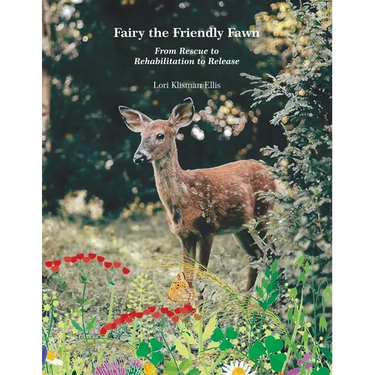 Fairy the Friendly Fawn: From Rescue to Rehabilitation to Release