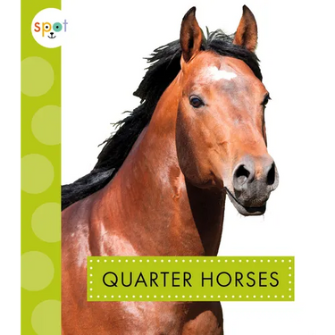 Quarter Horses