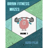 Brain Fitness Mazes Volume 1
