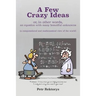 A Few Crazy Ideas: or, in other words, an equation with many beautiful unknowns (a computational and mathematical view of the world)