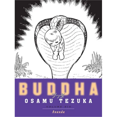 Buddha 6: Ananda