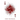 Scatter