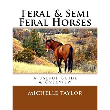 Feral & Semi Feral Horses: A Useful Guide & Overview