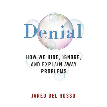Denial: How We Hide, Ignore, and Explain Away Problems