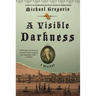 A Visible Darkness