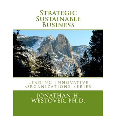 Strategic Sustainable Business
