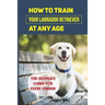 How To Train Your Labrador Retriever At Any Age: The Ultimate Guide For Every Owner: Clicker Training Lab Retriever Guide