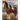 Clydesdale Coloring Book: Gorgeous 8.5x11 Inch Illustrations of Horses for All Ages