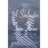 A Soulmates Twin Flame: Its Not Just Another Love Story