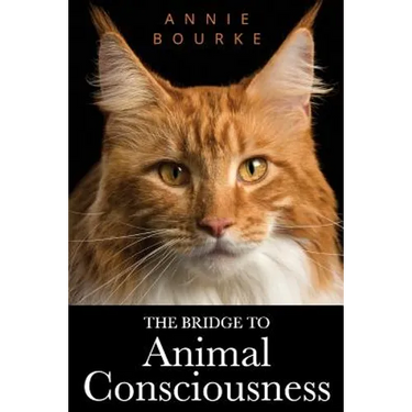 The Bridge To Animal Consciousness