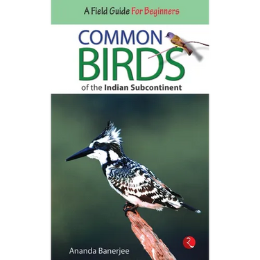 Common Birds of the Indian Subcontinent
