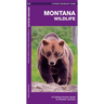 Montana Wildlife: A Folding Pocket Guide to Familiar Animals