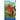 Birds of the South: Your Way to Easily Identify Backyard Birds
