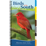 Birds of the South: Your Way to Easily Identify Backyard Birds