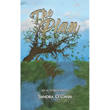 The Plan