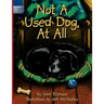 Not A Used Dog, At All
